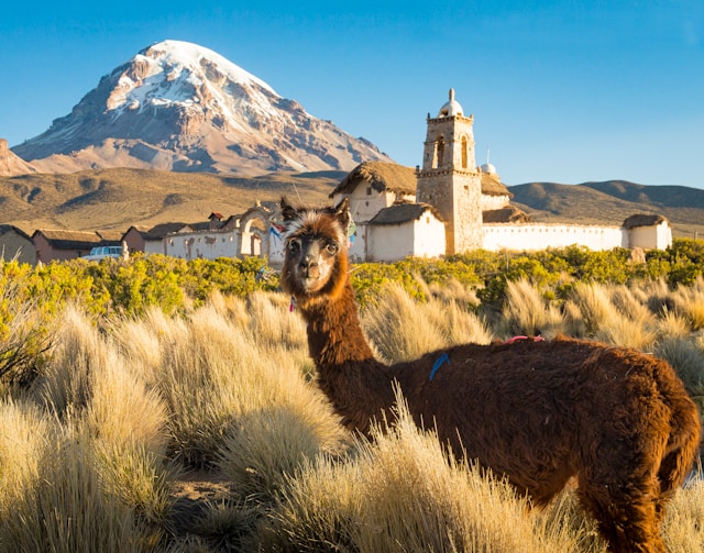 Bolivia travel documents