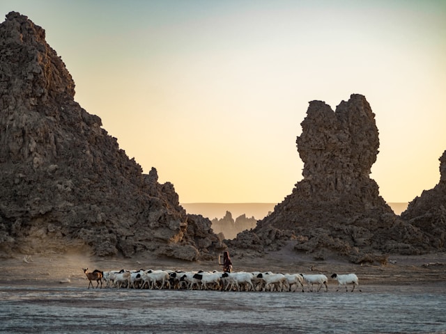 Djibouti travel documents