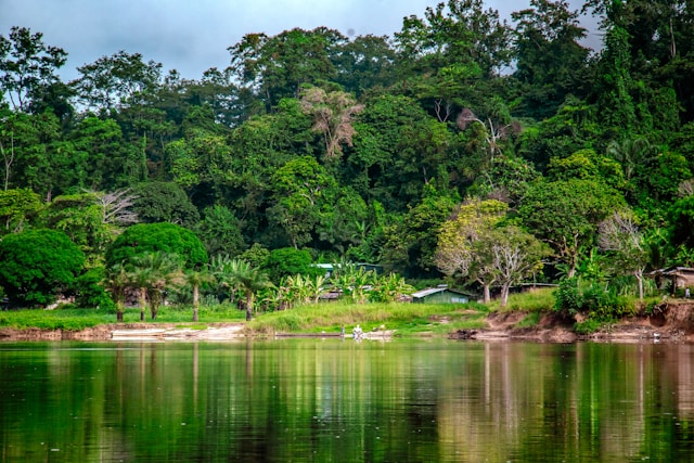 Gabon travel documents