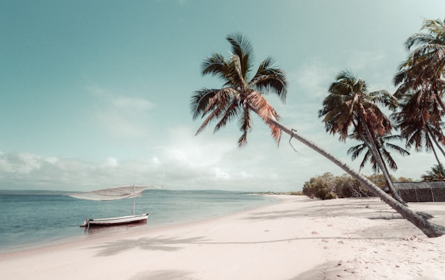 Mozambique travel documents