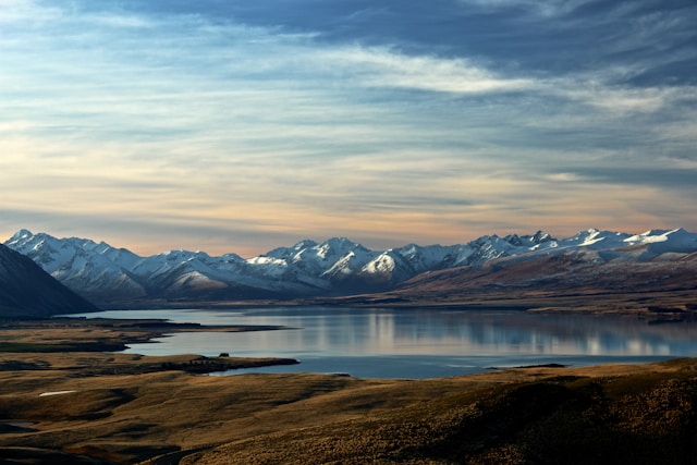Driving in New Zealand