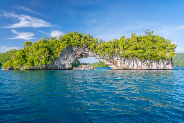 Palau travel documents