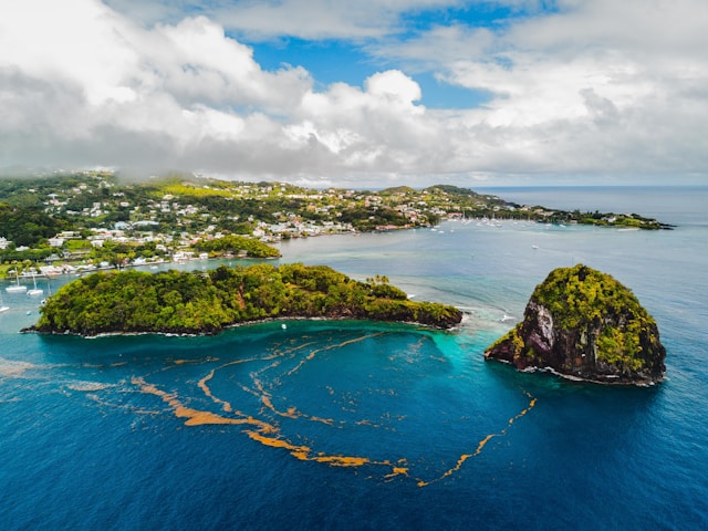 Saint Vincent and the Grenadines travel documents