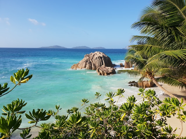 Seychelles travel documents
