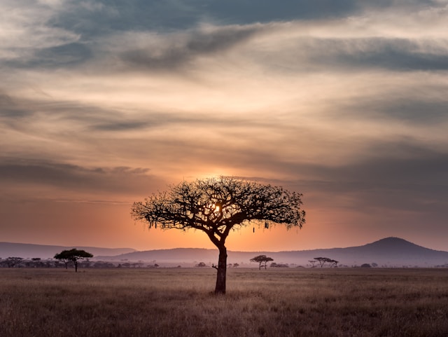 Tanzania travel documents