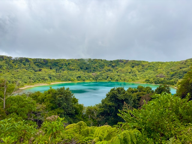 Tonga travel documents
